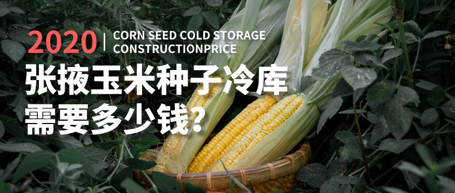 2020年建造張掖玉米種子冷庫(kù)需要多少錢？