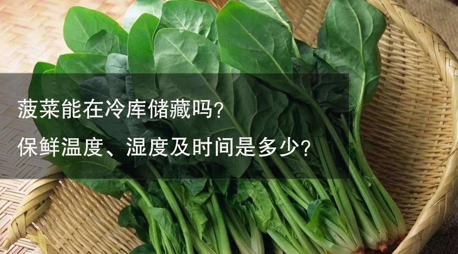 菠菜能在冷庫儲藏嗎？ 保鮮溫度、濕度及時間是多少？