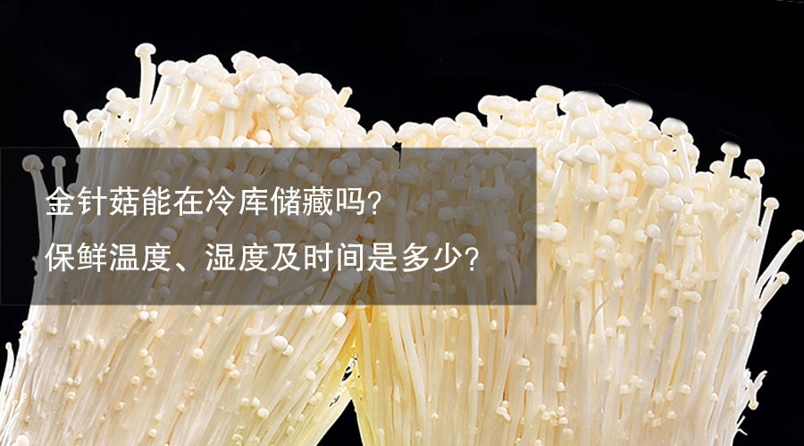 金針菇冷庫(kù)保鮮溫度、相對(duì)濕度及時(shí)間介紹