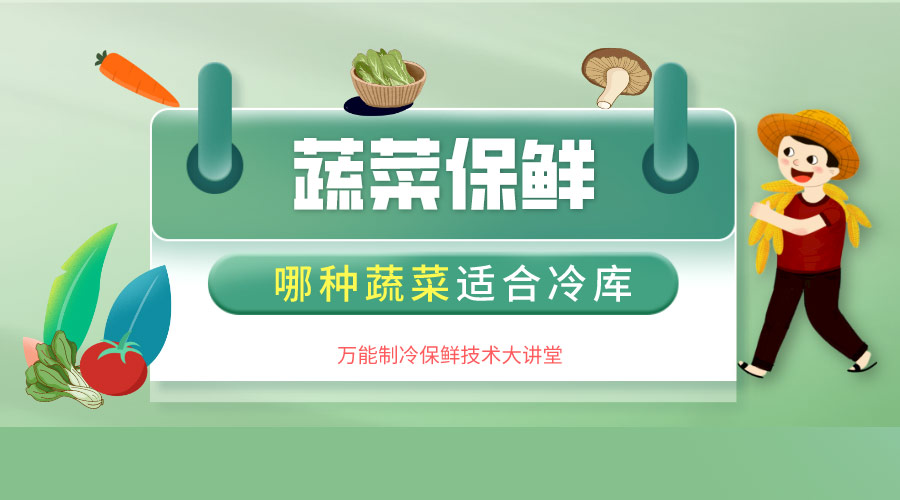 什么蔬菜適合冷庫儲(chǔ)藏？