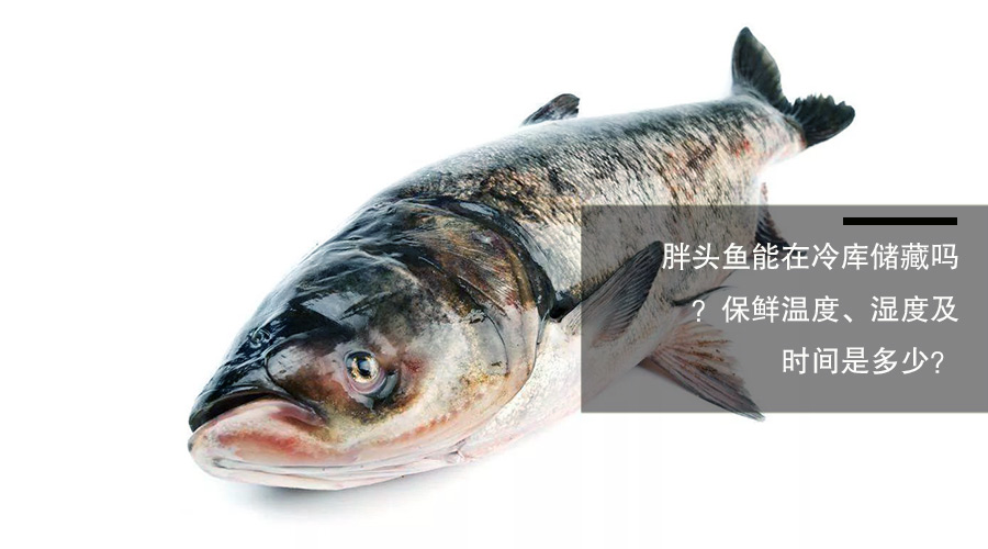 胖頭魚（鳙魚）冷庫儲藏溫度、相對濕度及貯藏時(shí)間介紹