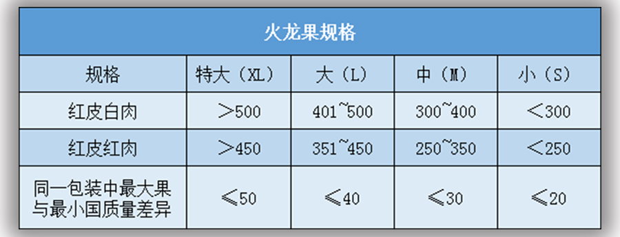 火龍果放冷庫前大小規格標準