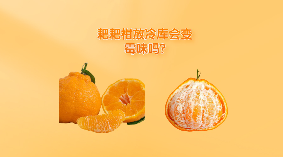 耙耙柑放冷庫會變霉味嗎?