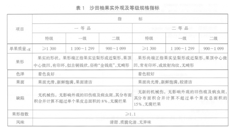 沙田柚放冷庫前分級標準