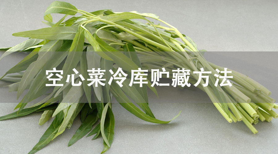 空心菜冷庫(kù)貯藏方法