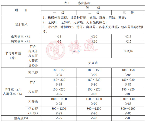 芥菜分級(jí)標(biāo)準(zhǔn).jpg