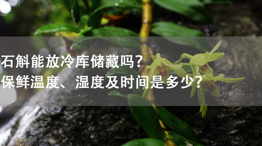 石斛能放在冷庫儲藏嗎？保鮮溫度、濕度及時間是多少？