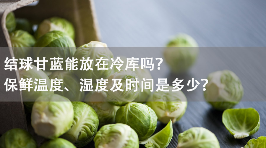 結球甘藍能放在冷庫嗎？保鮮溫度、濕度及時間是多少？