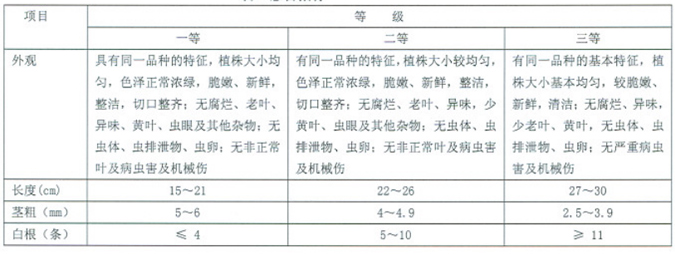 豆瓣菜分級標準.jpg