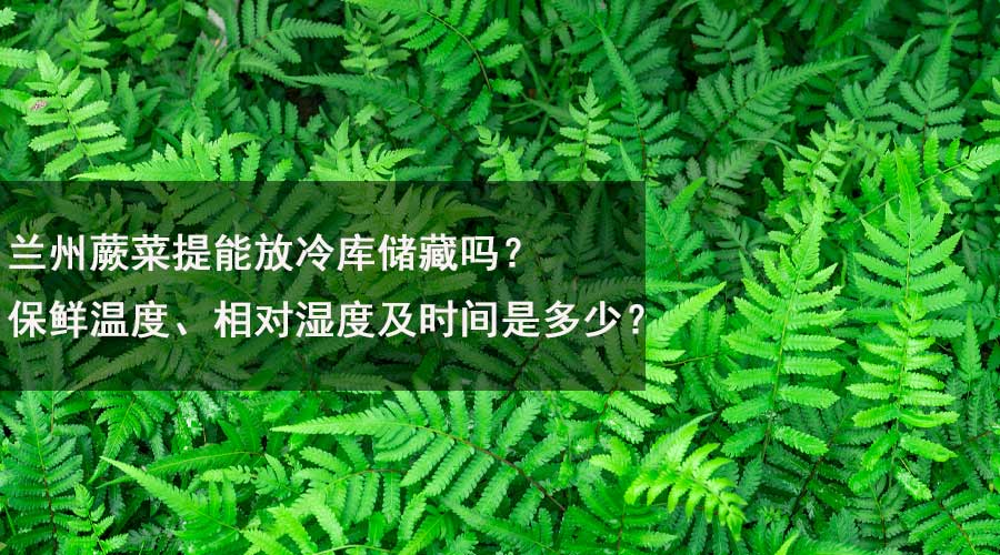 蘭州蕨菜提能放冷庫儲藏嗎？保鮮溫度、相對濕度及時間是多少？.jpg