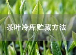 茶葉貯藏方法是什么？茶葉冷庫儲存介紹！