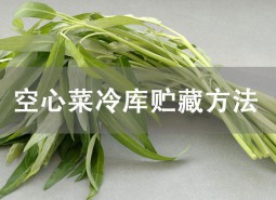 空心菜冷庫貯藏方法詳解！這樣貯藏可保鮮1個月！